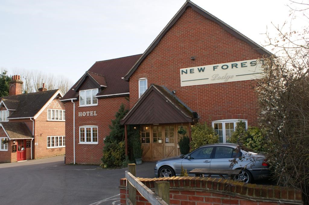 New Forest Lodge