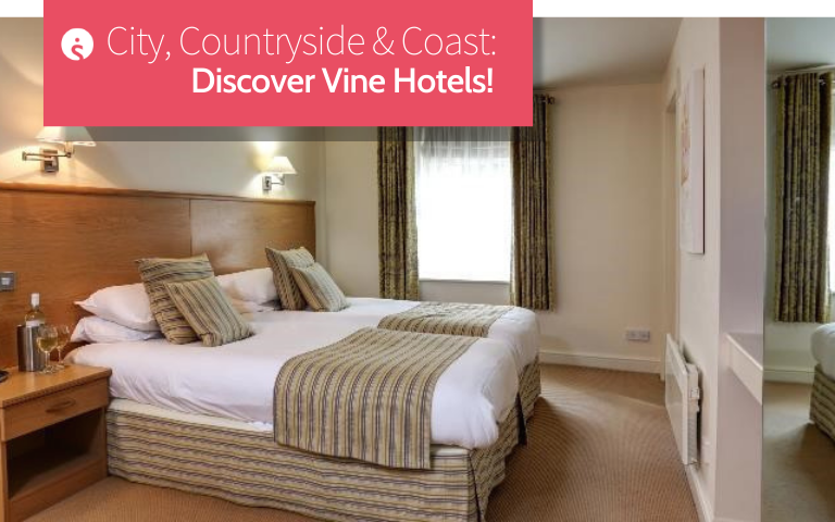 Vine Hotels Featured Image