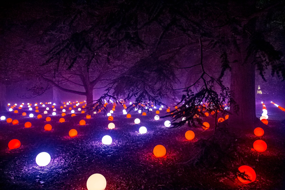 Image of the Christmas Lights Trail at Edinburgh Botanical Gardens.