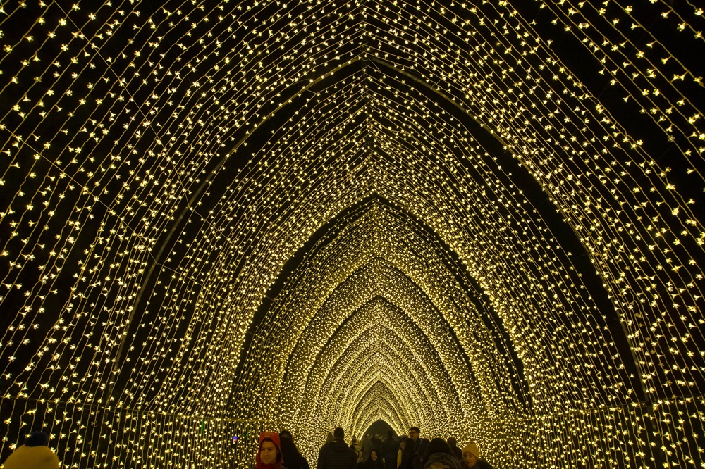 Image of the Christmas Lights Trail at Edinburgh Botanical Gardens.