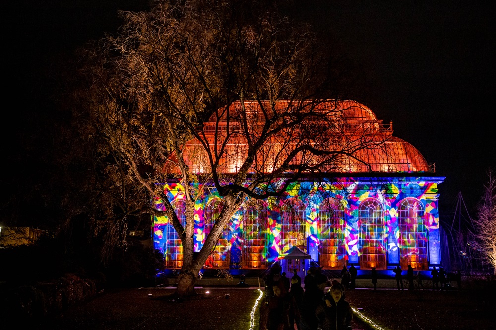 Image of the Christmas Lights Trail at Edinburgh Botanical Gardens. Showing the greenhouse lit up on a winter night.