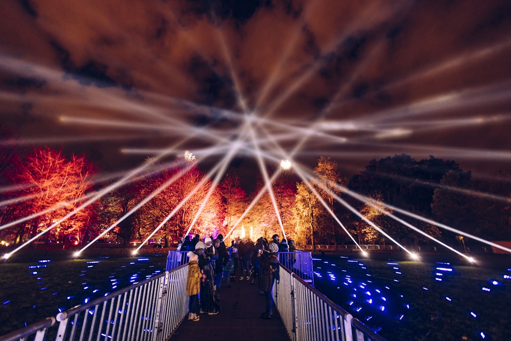 An image of the Bute Park Illuminations on a winter night. 